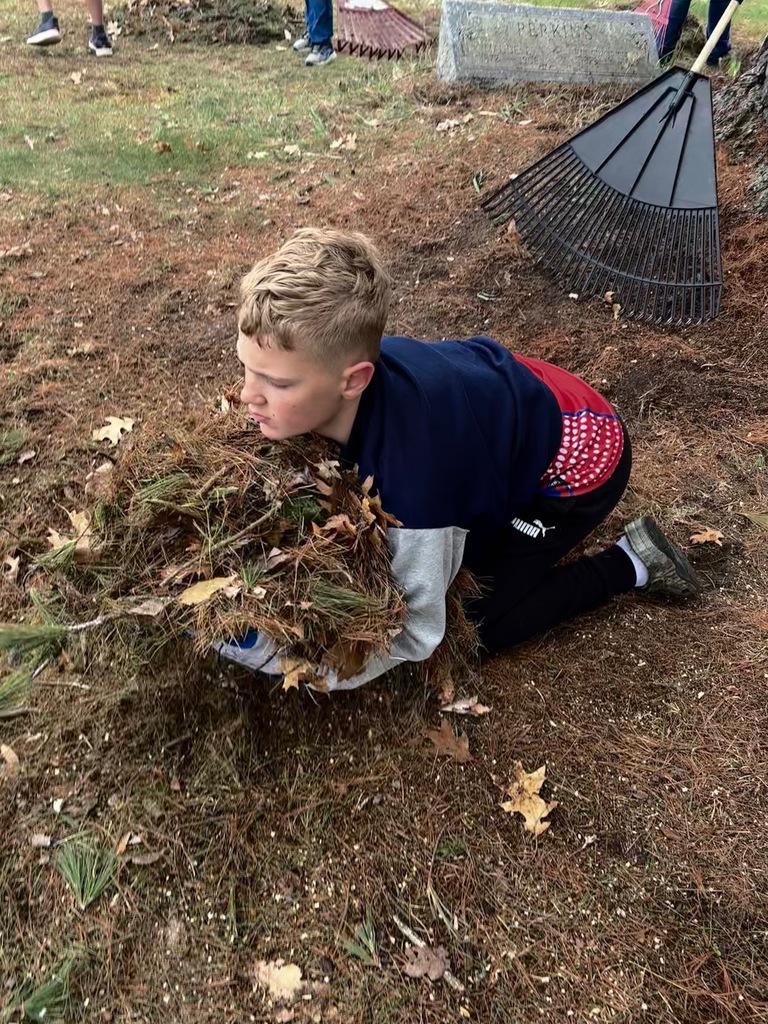 Cemetery clean up