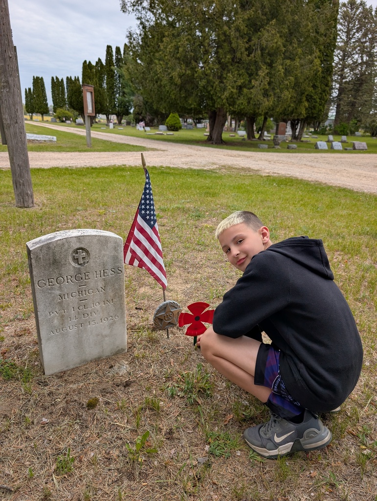 Weidman Poppies - Memorial Day