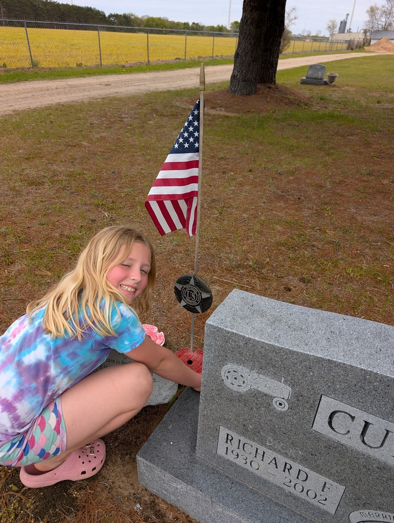 Weidman Poppies - Memorial Day