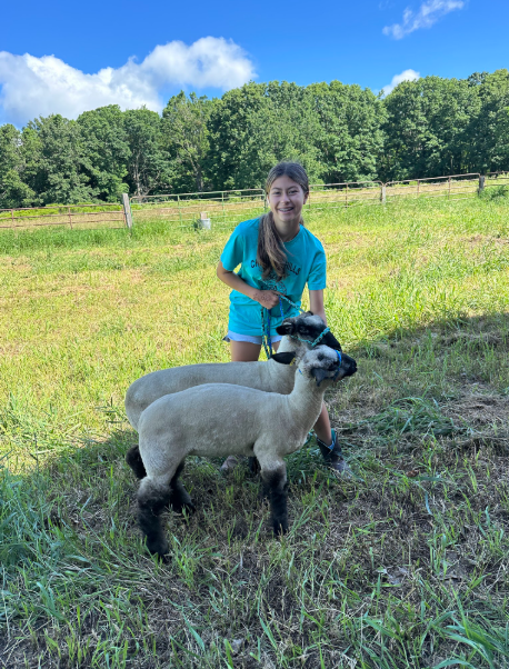 FFA at Mecosta County Fair