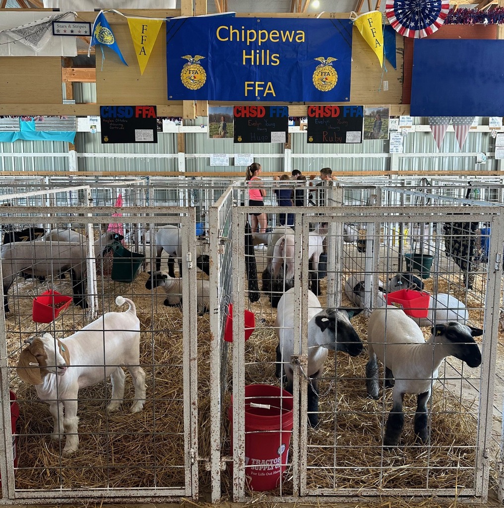 FFA at Mecosta County Fair