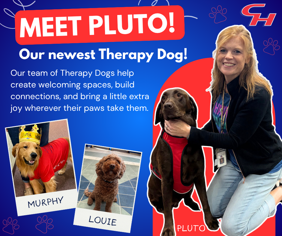Meet Pluto our newest Therapy Dog