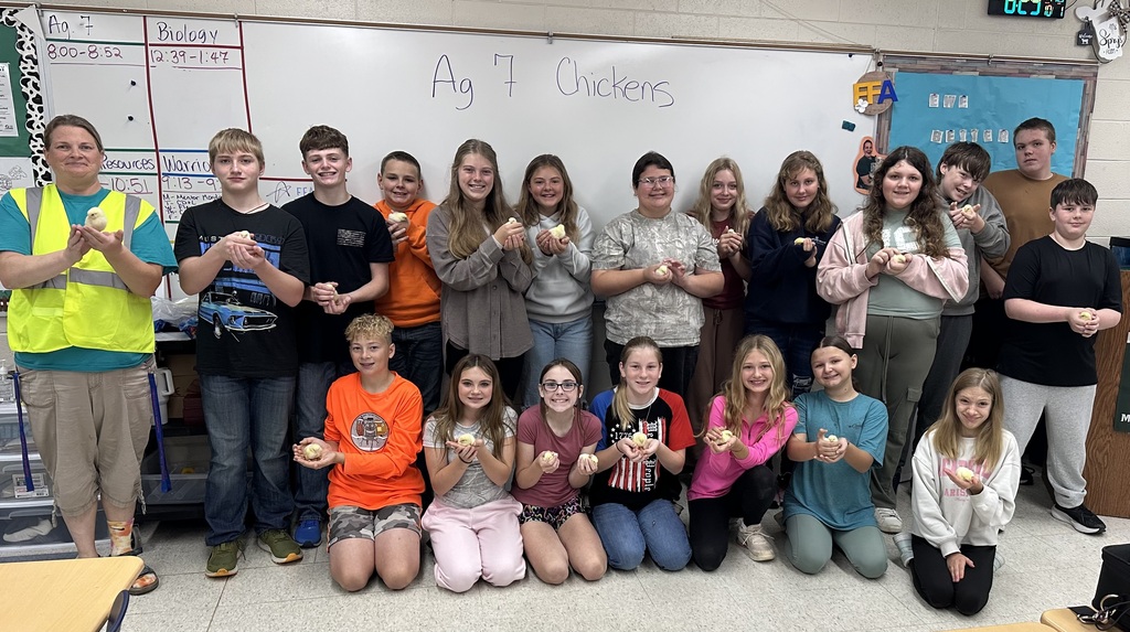Baby Chicks in Agricultural Science