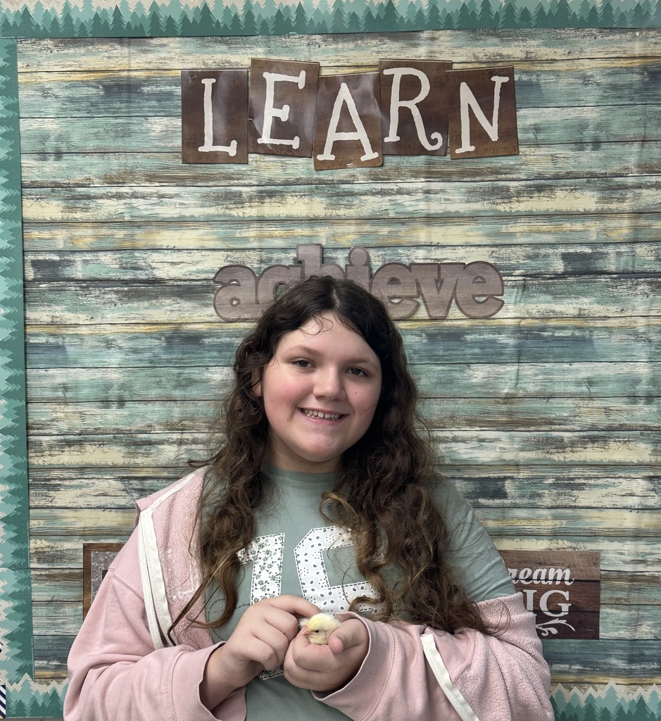 Baby Chicks in Agricultural Science