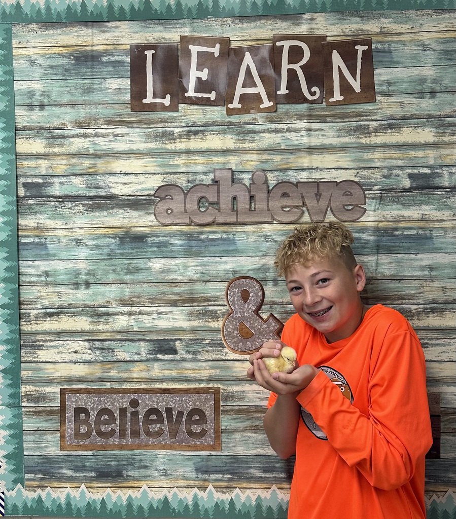 Baby Chicks in Agricultural Science