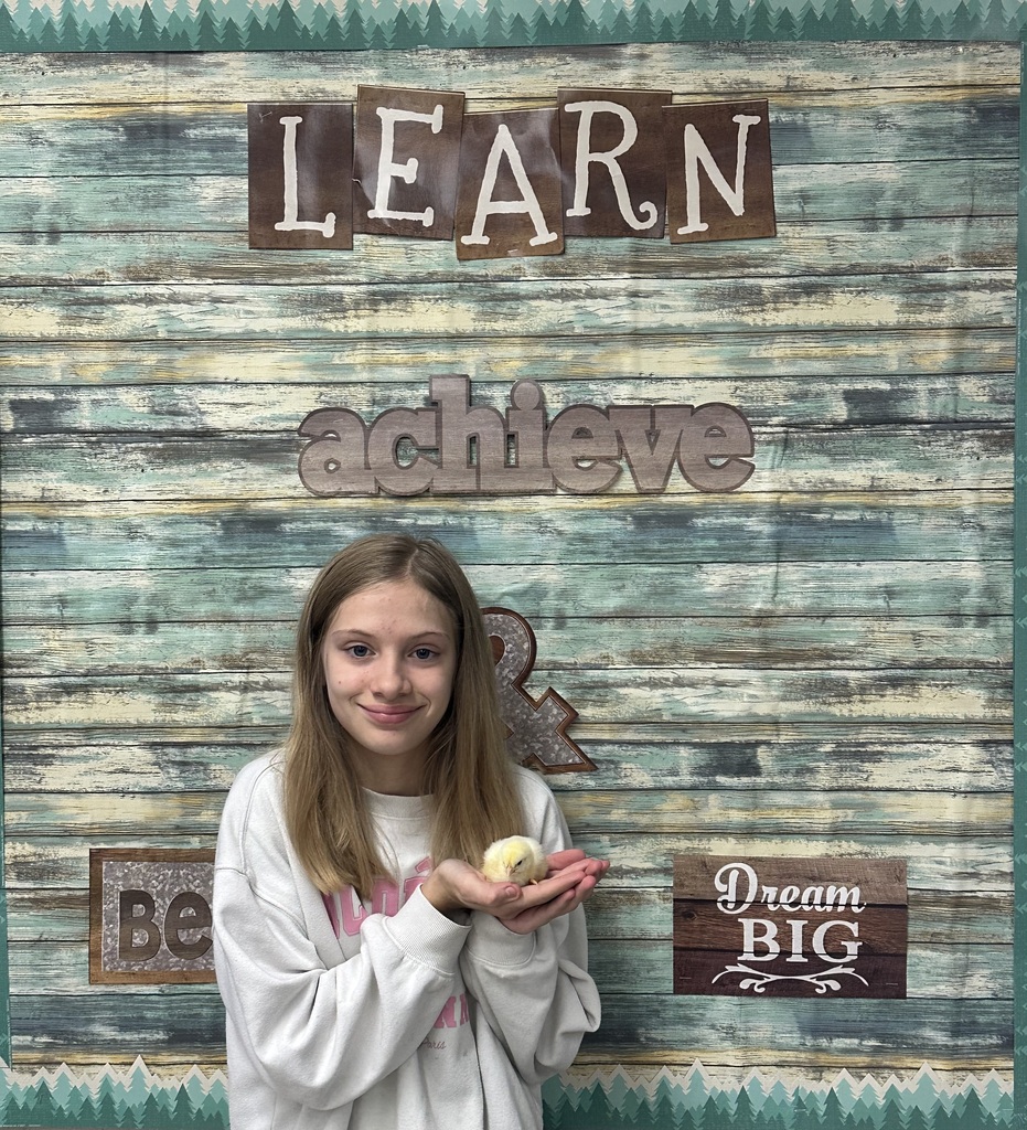 Baby Chicks in Agricultural Science