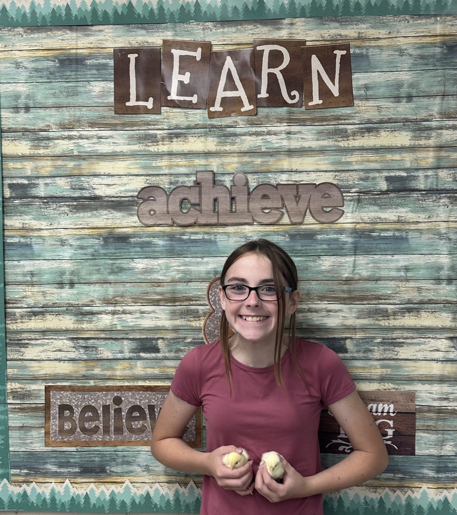 Baby Chicks in Agricultural Science