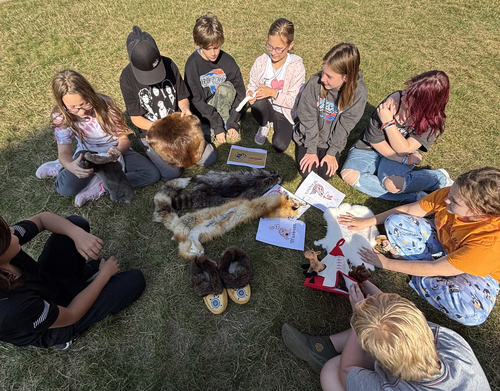 Experiencing animal pelts