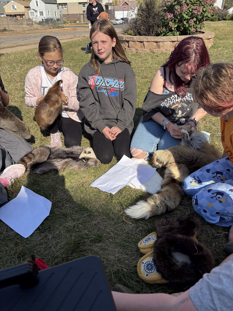 Learning about furs and animals!