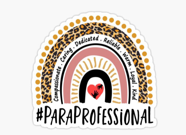 Paraprofessional