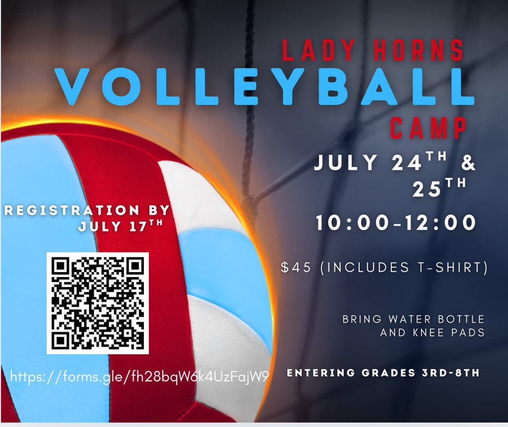 Volleyball Camp