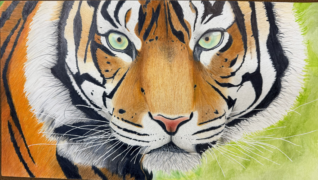 Kallie Irwin - "The Eyes of the Tiger"