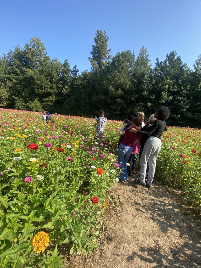 field trip 