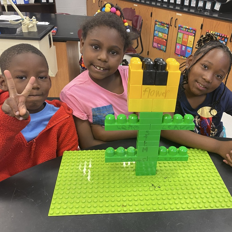 2nd Grade Science