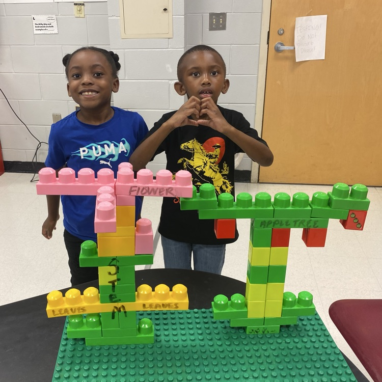 1st and 2nd Grade Science 
