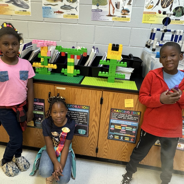 1st and 2nd Grade Science