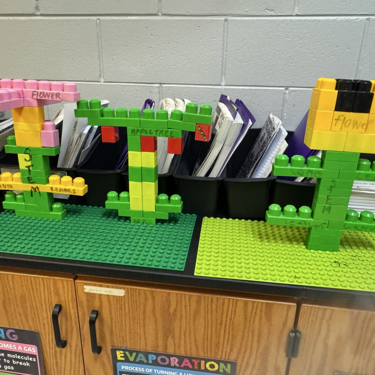 1st and 2nd grade Science