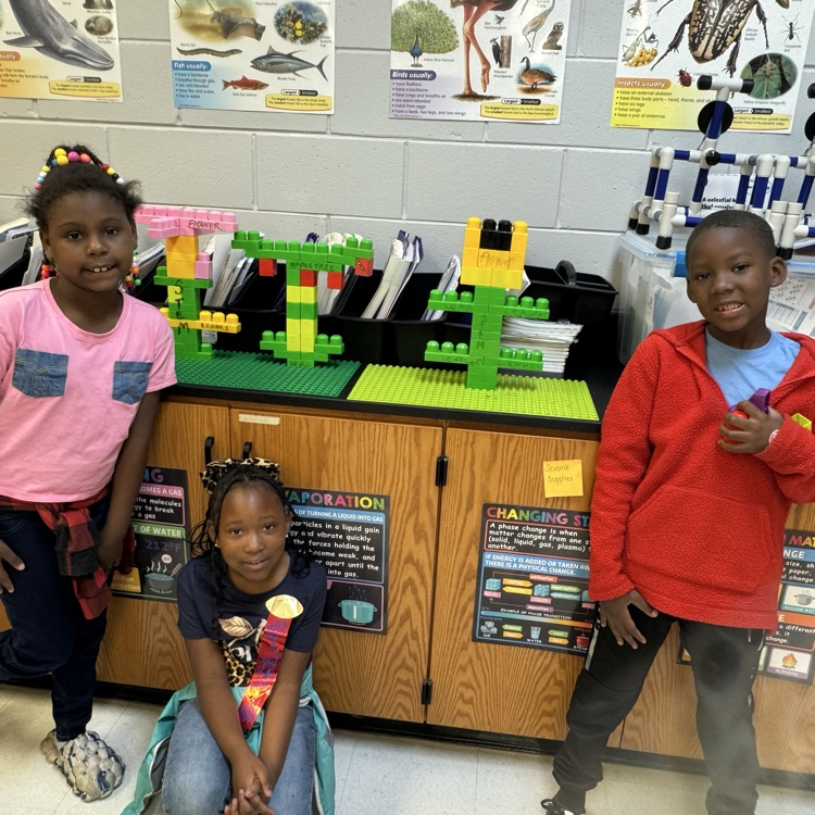 1st and 2nd Grade Science 
