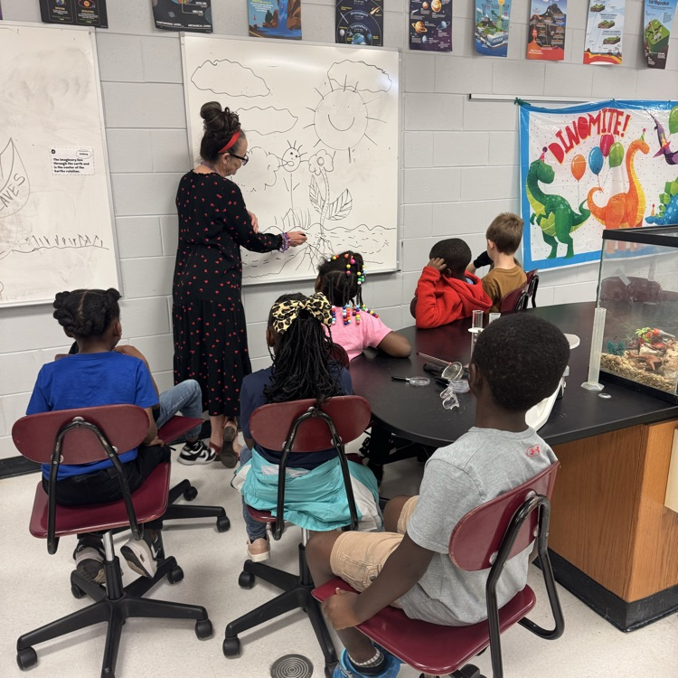 1st and 2nd Grade Science
