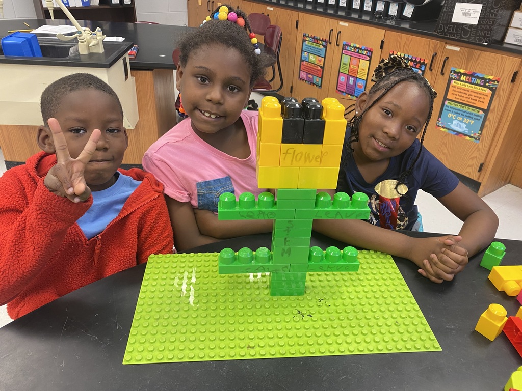 1st Grade students plant seeds and make LEGO model plants