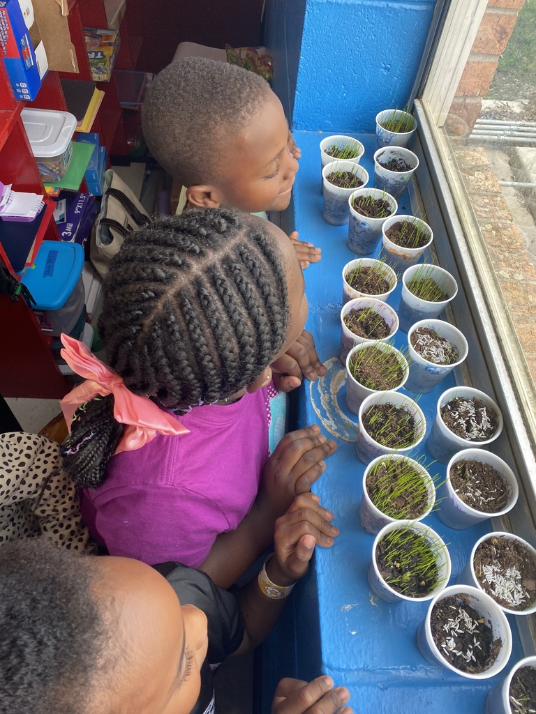 1st Grade students plant seeds and make LEGO model plants