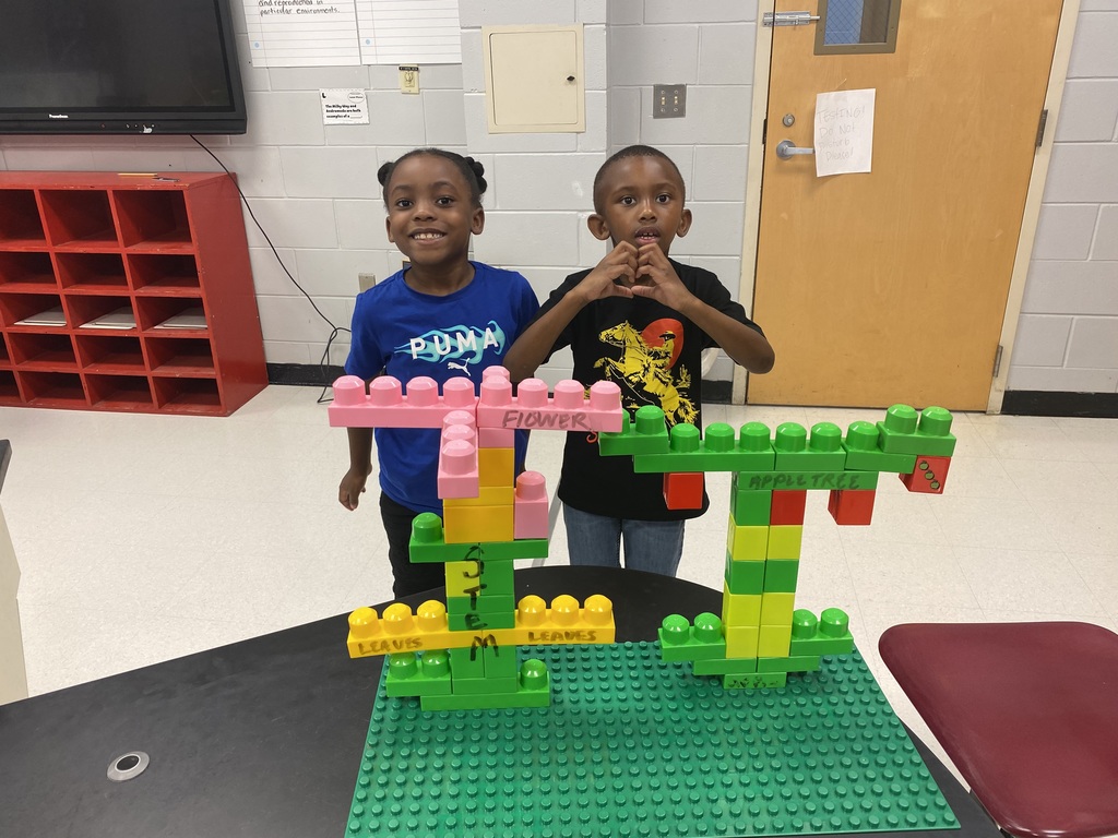 1st Grade students plant seeds and make LEGO model plants