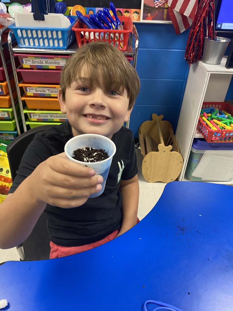 1st Grade students plant seeds and make LEGO model plants
