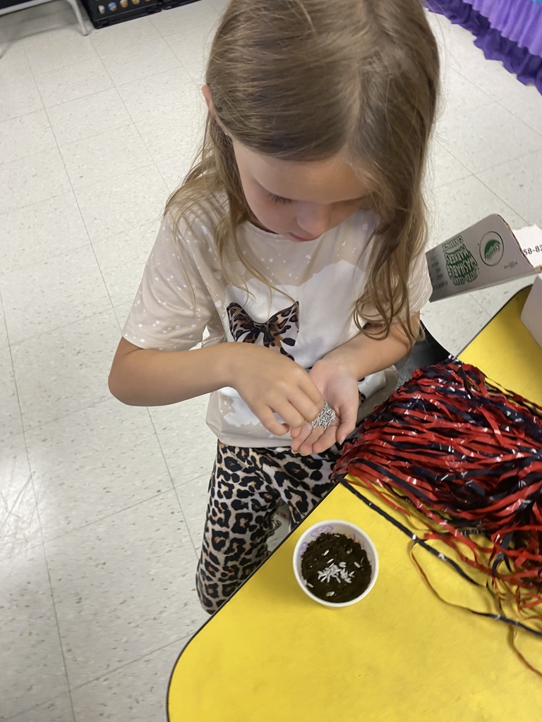 1st Grade students plant seeds and make LEGO model plants