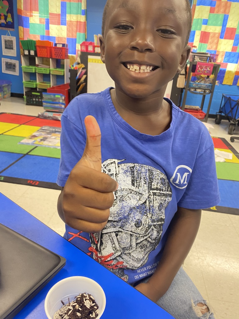 1st Grade students plant seeds and make LEGO model plants