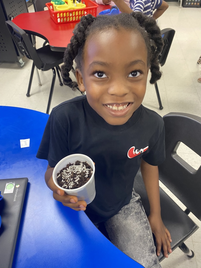 1st Grade students plant seeds and make LEGO model plants