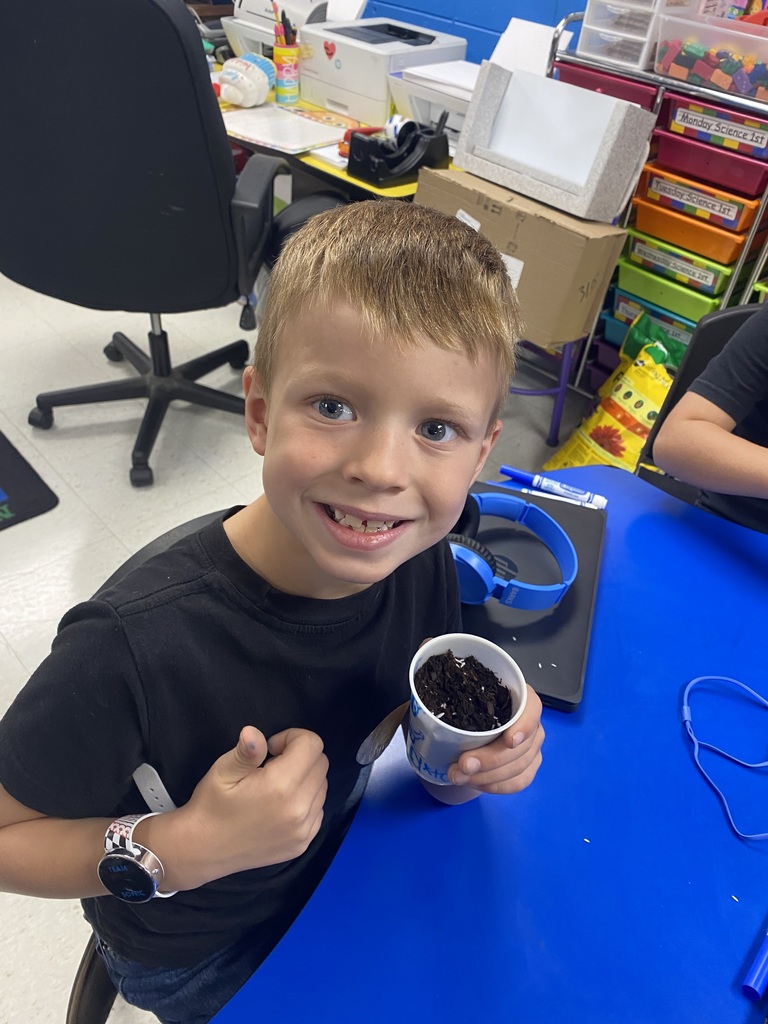 1st Grade students plant seeds and make LEGO model plants