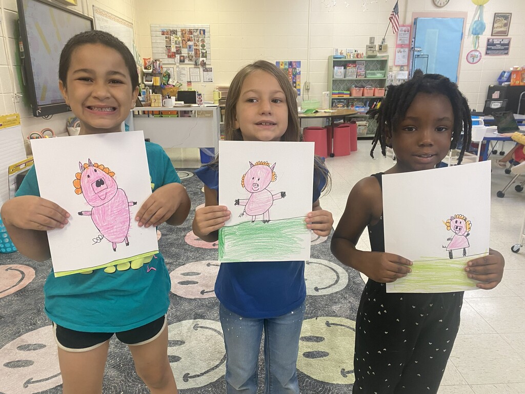 Pig in a Wig directed drawing