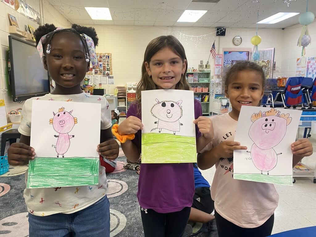 Pig in a Wig directed drawing