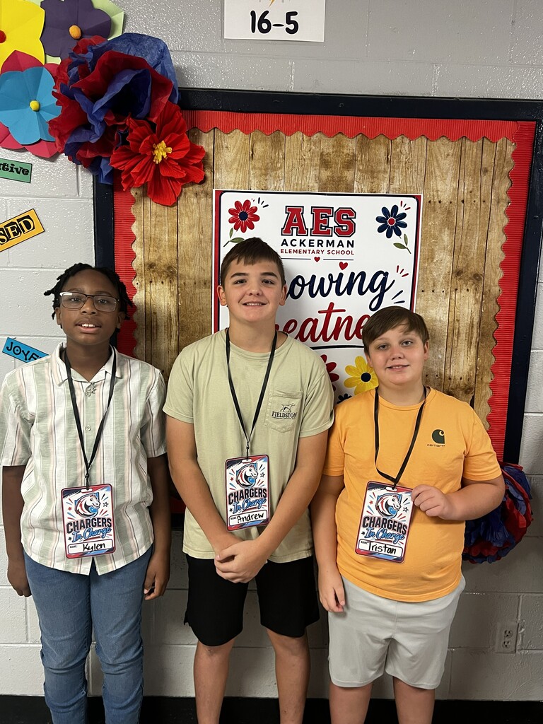 #teamAES