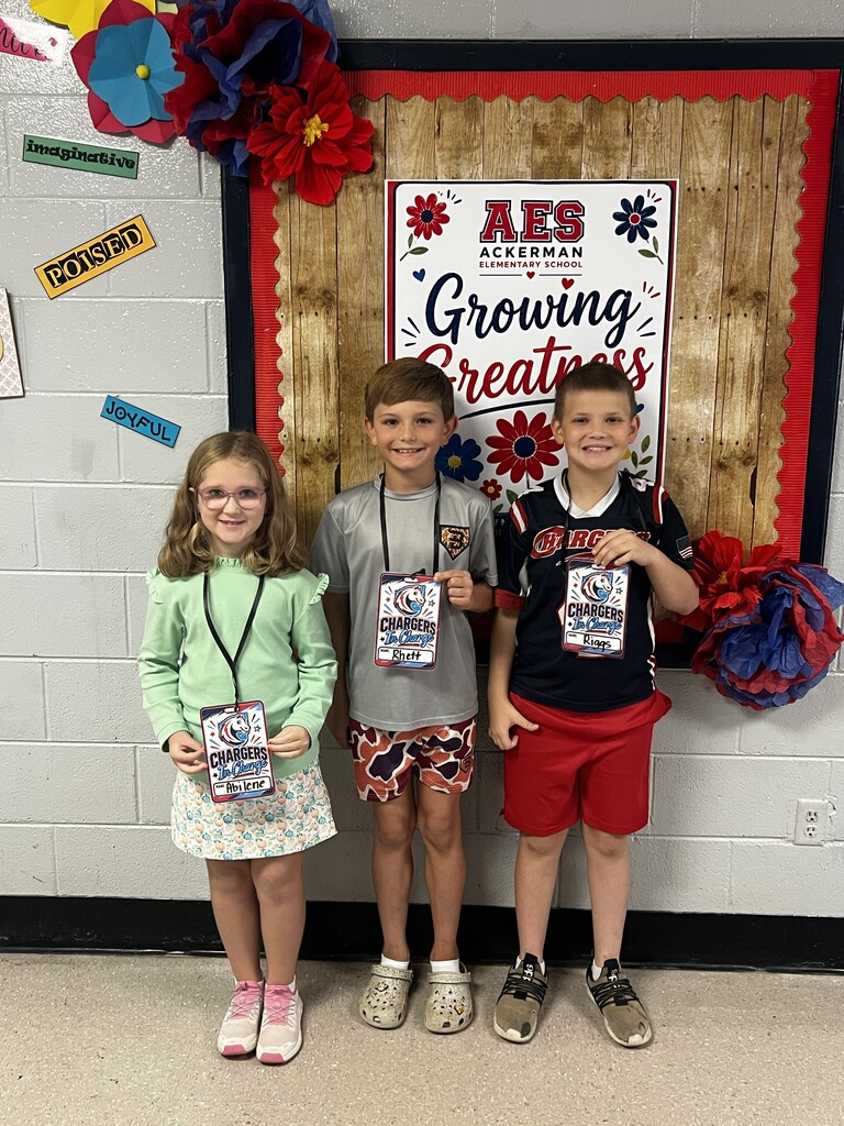 #teamAES