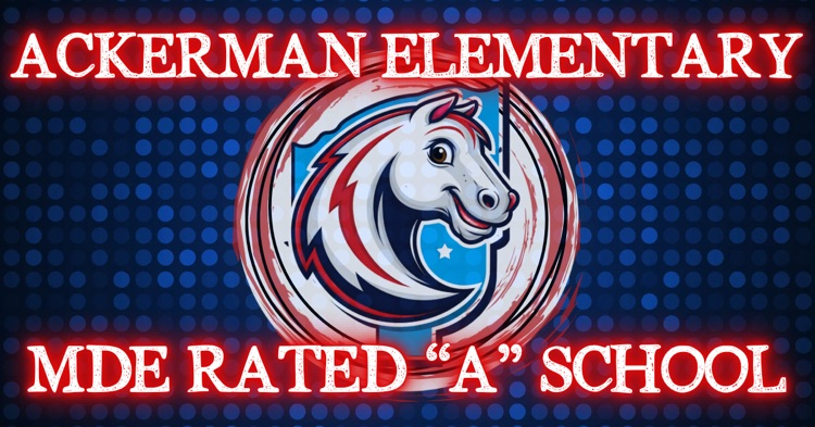TEAMAES