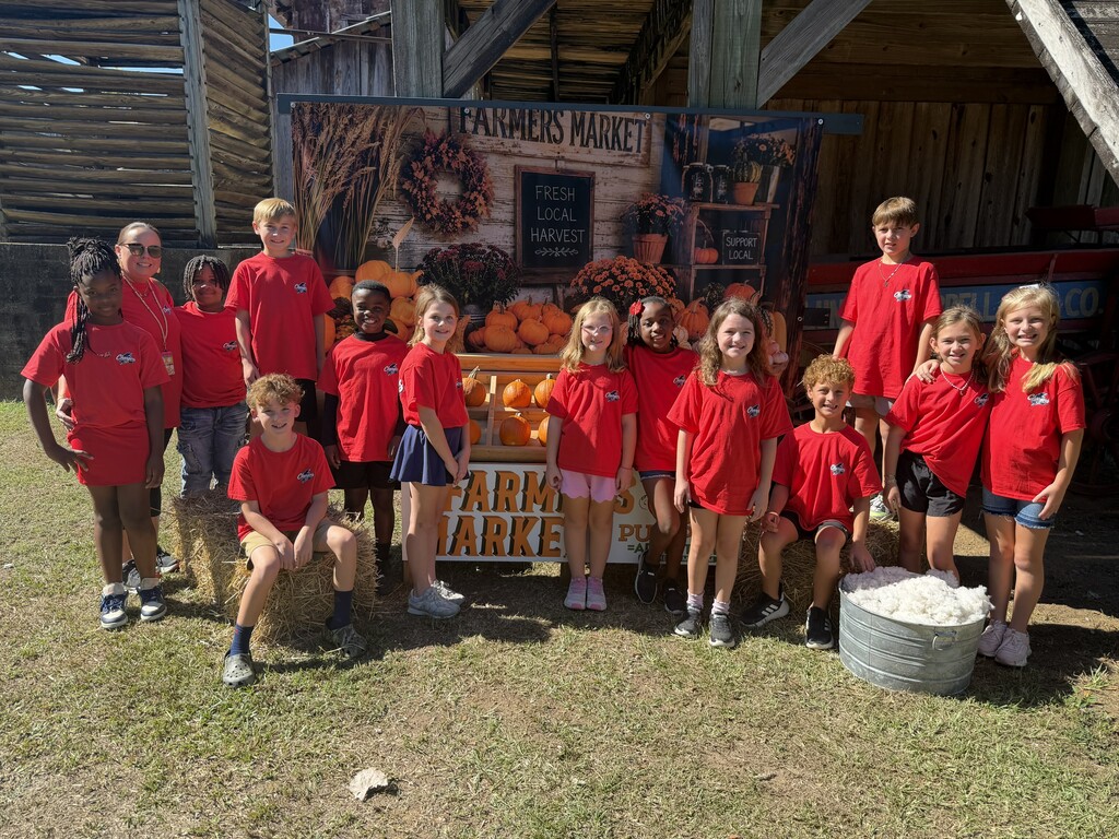 #teamAES