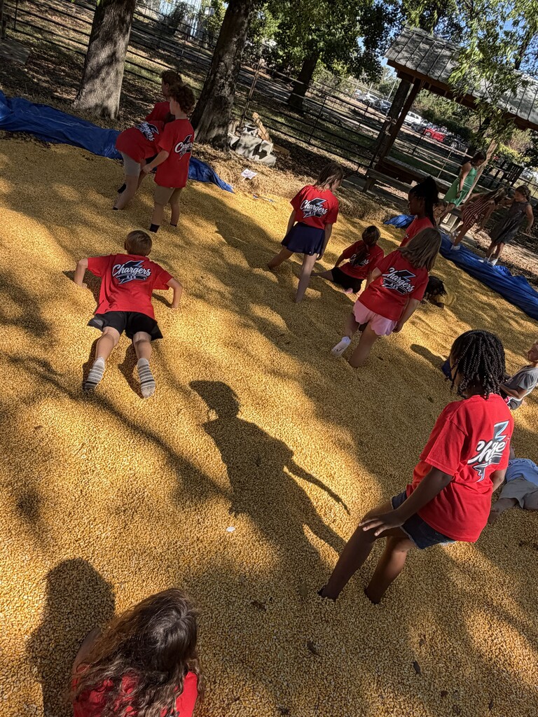 #teamAES