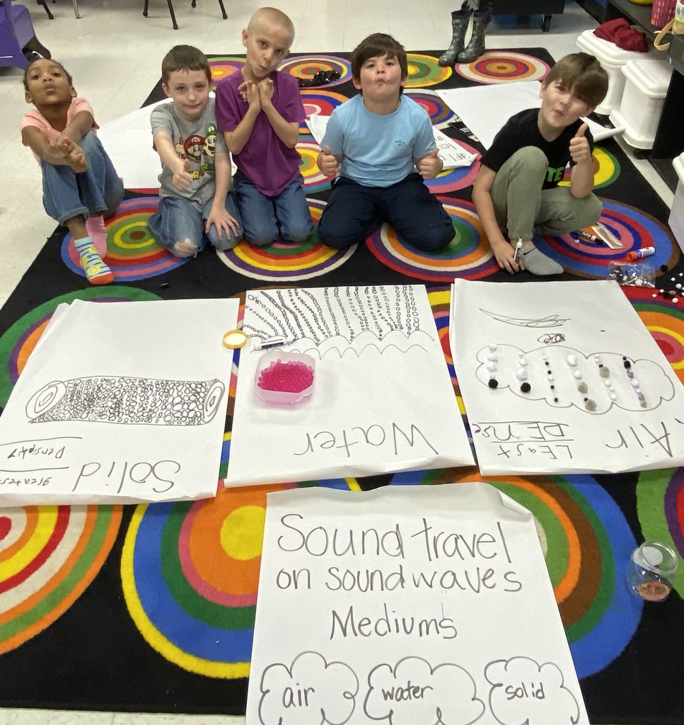 WES Sound Density activity