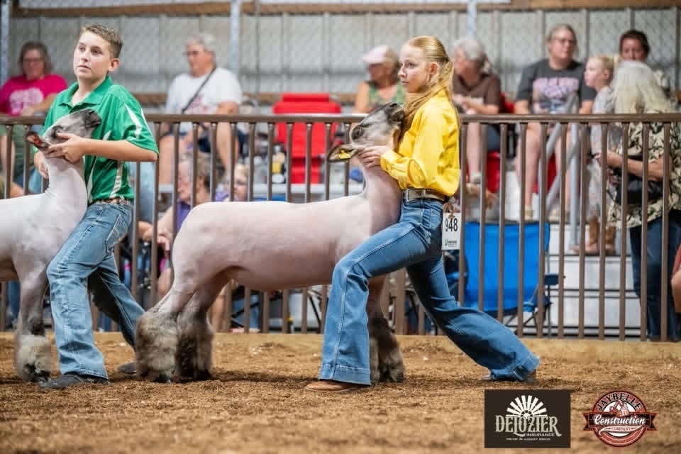 FFA at Mayes County Fair