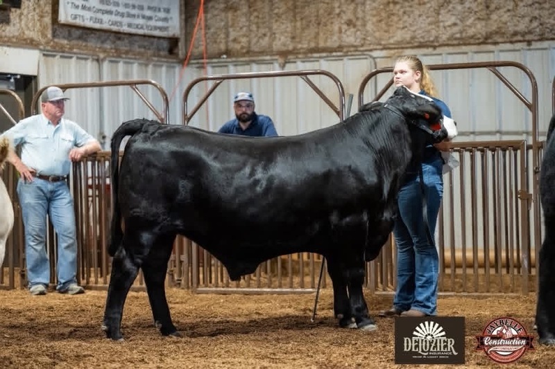 Chouteau Mazie FFA at the Mayes County Fair