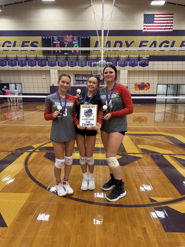 all tournament