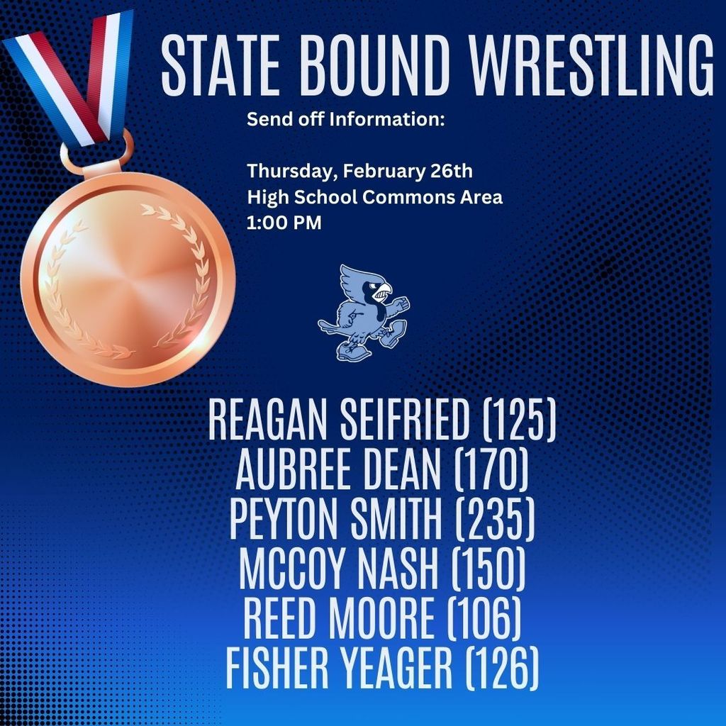 Blue and White Cool Dynamic Wrestling Sports Instagram Post