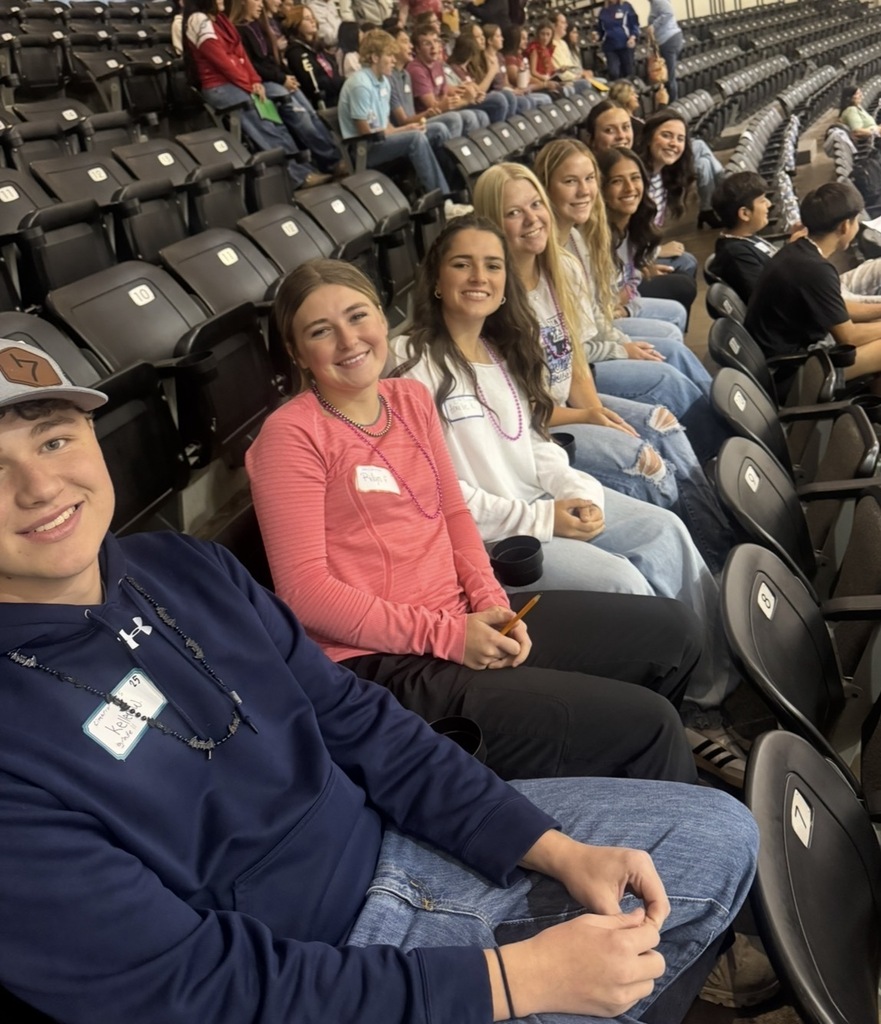 STUCO 4