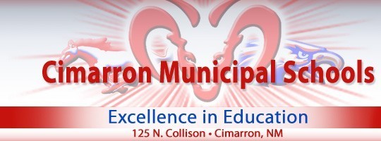 CMS Logo