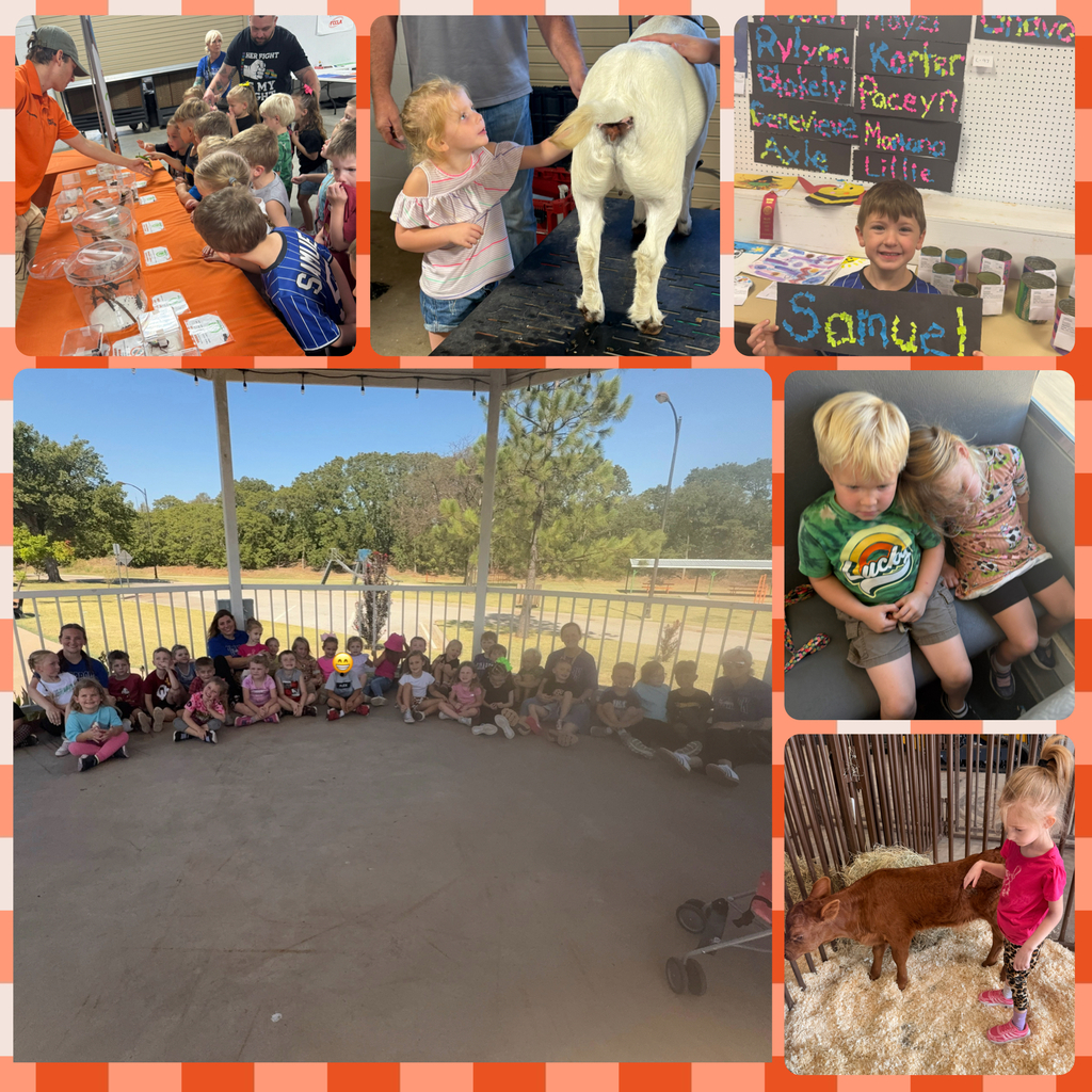 PK/Kindergarten