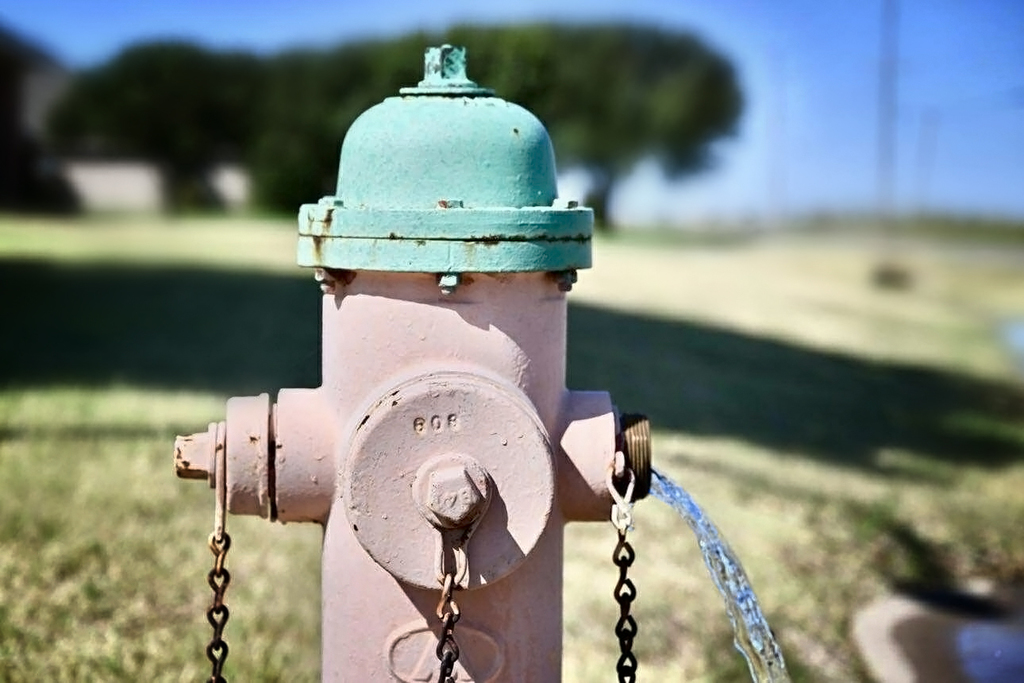 Close-up of a fire hydrant with water flowing from the side outlet, set in a grassy area with trees and a blue sky in the background.