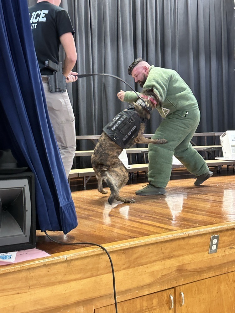 A K9 officer demonstrates a bite training exercise on stage. The police dog, wearing a vest, bites the padded arm of a trainer in a green protective suit while another officer stands nearby.