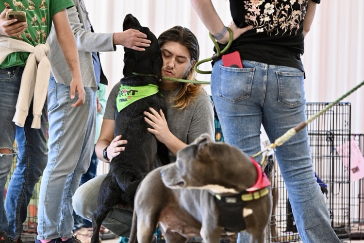 A person crouches down hugging a black dog wearing a green adoption bandana while another dog on a leash stands in the foreground. Several people are gathered around in the indoor event area.