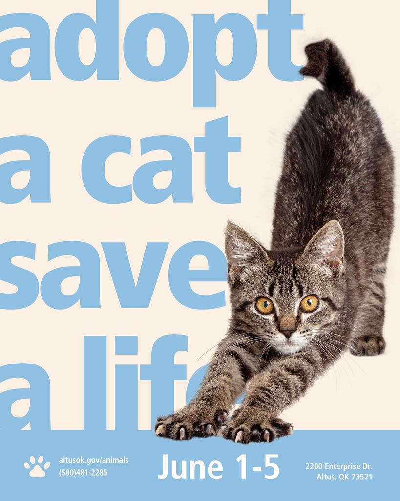 Alt text: A tabby cat stretches forward over a beige and light blue adoption graphic. Large text reads “adopt a cat save a life.” The bottom banner includes altusok.gov/animals, (580) 481-2285, June 1-5, and 2200 Enterprise Dr., Altus, OK 73521.